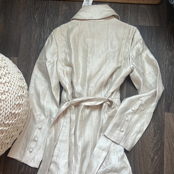 Baruni Cream Pari Dress - Picture 6 of 7